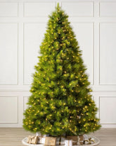 Árvore de Natal Verde Monterey Pine com Galhos Longos DVT11