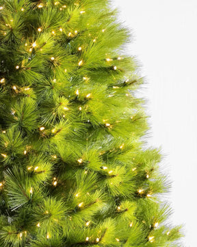 Árvore de Natal Verde Monterey Pine com Galhos Longos DVT11