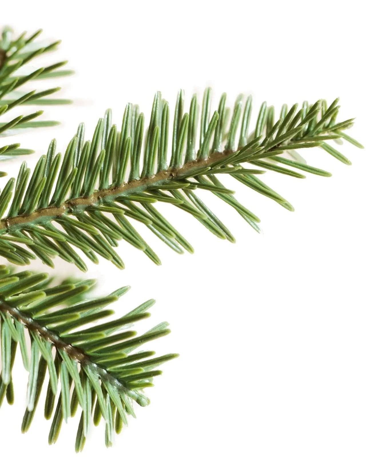 Árvore de Natal Slim Alpine com Galhos Articulados e Micro LEDs Embutidos DVT21