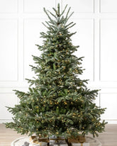 Árvore de Natal European 1,80 m com Galhos Articulados, Suporte Metálico e Micro LEDs Embutidos DVT03