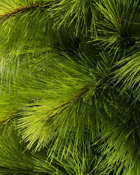 Árvore de Natal Pine Slim 1,80 m com Galhos Articulados, Suporte Metálico e Micro LEDs Embutidos DVT07